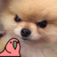 nabe
