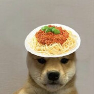 Your Spaghetti DOG