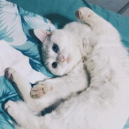 󠀡󠀡󠀡󠀡󠀡󠀡󠀡吉JI"