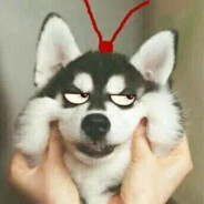 只洗碗不吃饭9527