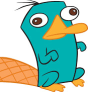 PerryP