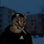 Steam Avatar