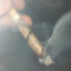 42OO24
