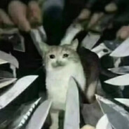 十八世纪热销商品