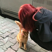 ポテック - steam id 76561199103002787