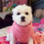 AA Pink Mimi