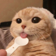 电子厂一号技师