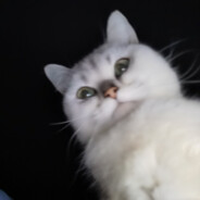 1500小时KD0.3你指望我？