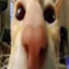lvlski