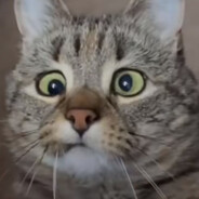 8ung:压力¡ĞaБr!EL厳禁