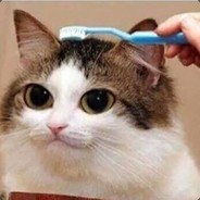 Дедушка-Западло