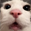 Pipsqueak