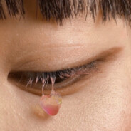 菠萝菠萝一菠萝