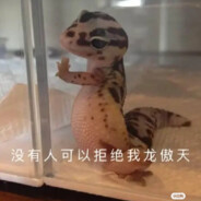 ハン・ゾンヨウみたい