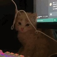 Quje