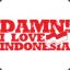 Damn!, I Love Indonesia