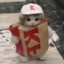 catskisser