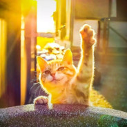 今天也要吃饱开心啊☺