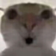 我会发着呆然后忘记你