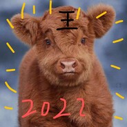 我的枪里没有子弹