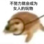 钢铁飞龙在天