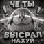 Avatar of player няшка 2008