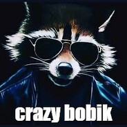 crazy bobik