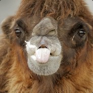 Pumpi das Trampeltier