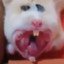 ุ
