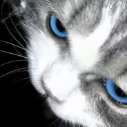 夏令营退伍老兵