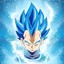 PRINCE VEGETA