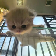 sneaky suicide