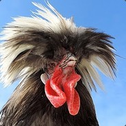 Дикий гребень Δ