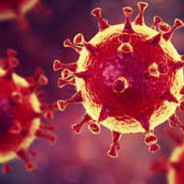 ＣＯＲＯＮＡ᭄√ɨʀմ