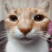 rifter Steam avatar