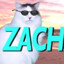 ZachTheSnacc