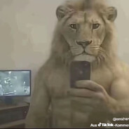Vagoos avatar