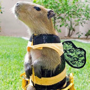 Bee Capybara