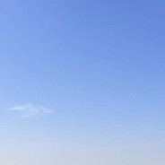 小猫陈康吃汉堡