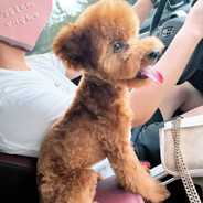 热心市民李大爷