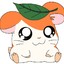 Hamtaro