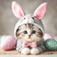 NongChii~♥