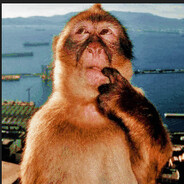 Monkey Orange - steam id 76561198317746080