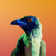 birb