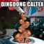 DING DONG CALTEX