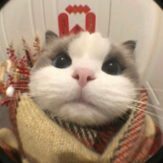 超级无敌宇宙暴龙企鹅