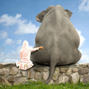 Слоник Елисей