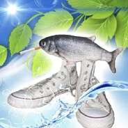 SESD1 - steam id 76561199783472574