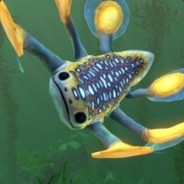 xHuscyx avatar