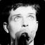 ian curtis